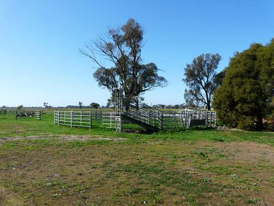 Racecourse Road, Tocumwal