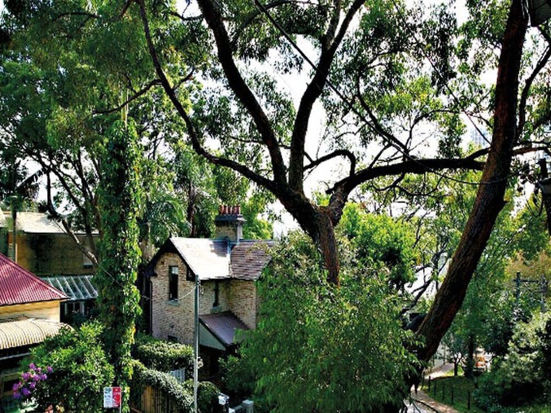 5 Great Thorne Street, Edgecliff