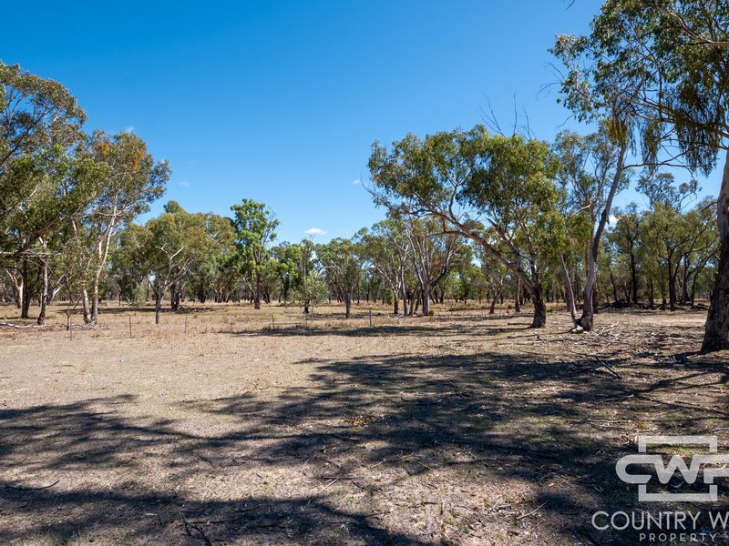 1043 Wallangra Road, Wallangra