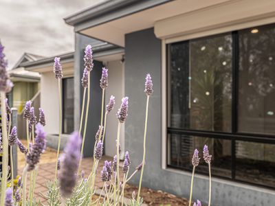 9 Rouse Lane, Byford