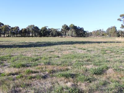 98 Cornella-Toolleen Road, Toolleen