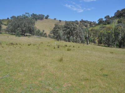 Lot 2 Bortolot Road, Wodonga