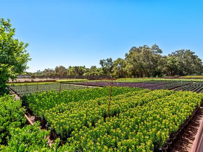 37 Landgren Road, Casuarina