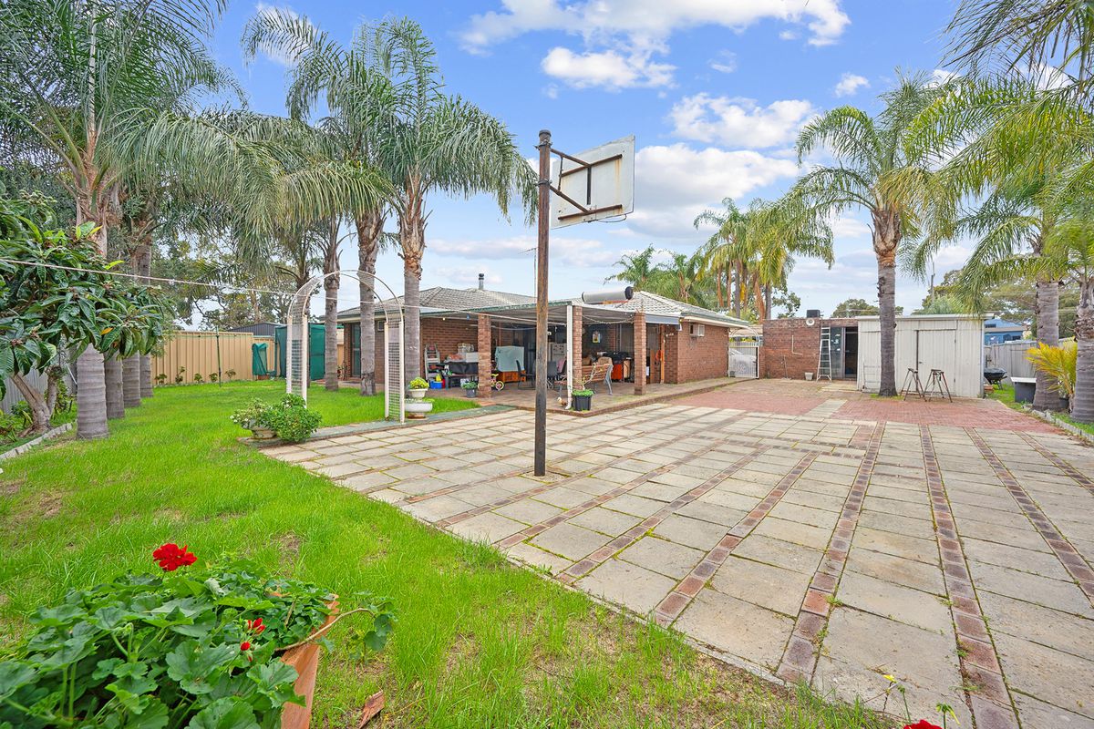 81 Anaconda Drive, Gosnells