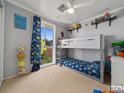 2 Owl Place, St Clair