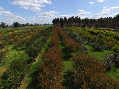 469 Bunganail Road, Nagambie