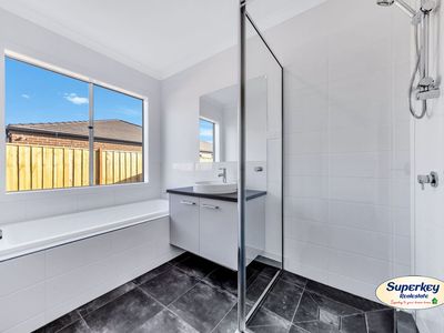 11 Asperula Street, Tarneit