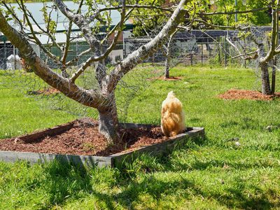 30 Judds Hill Road, Geeveston