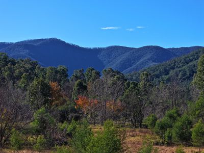 Lot 4 Araluen Road, Araluen