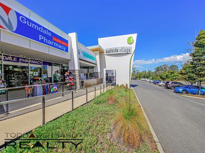 17 Eucalypt Street, Wakerley
