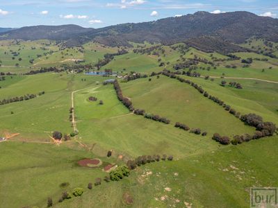 275 Soldier Settlers Road, Tallangatta Valley