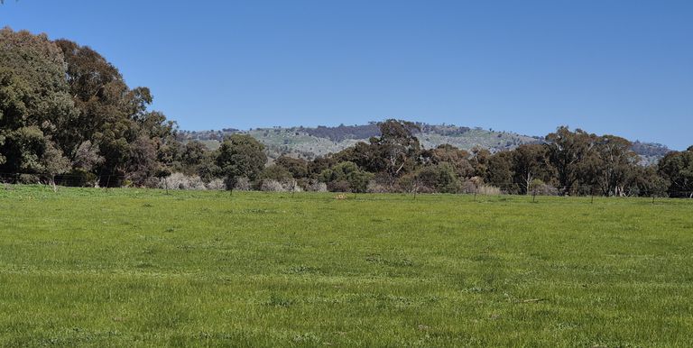 Lot 1  10 Dunnings Road, Balmattum