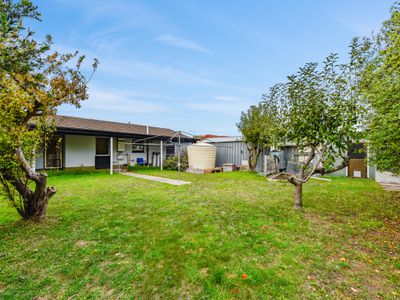 8 Mullins Street , Millicent