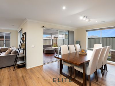41 Ventasso Street, Clyde North