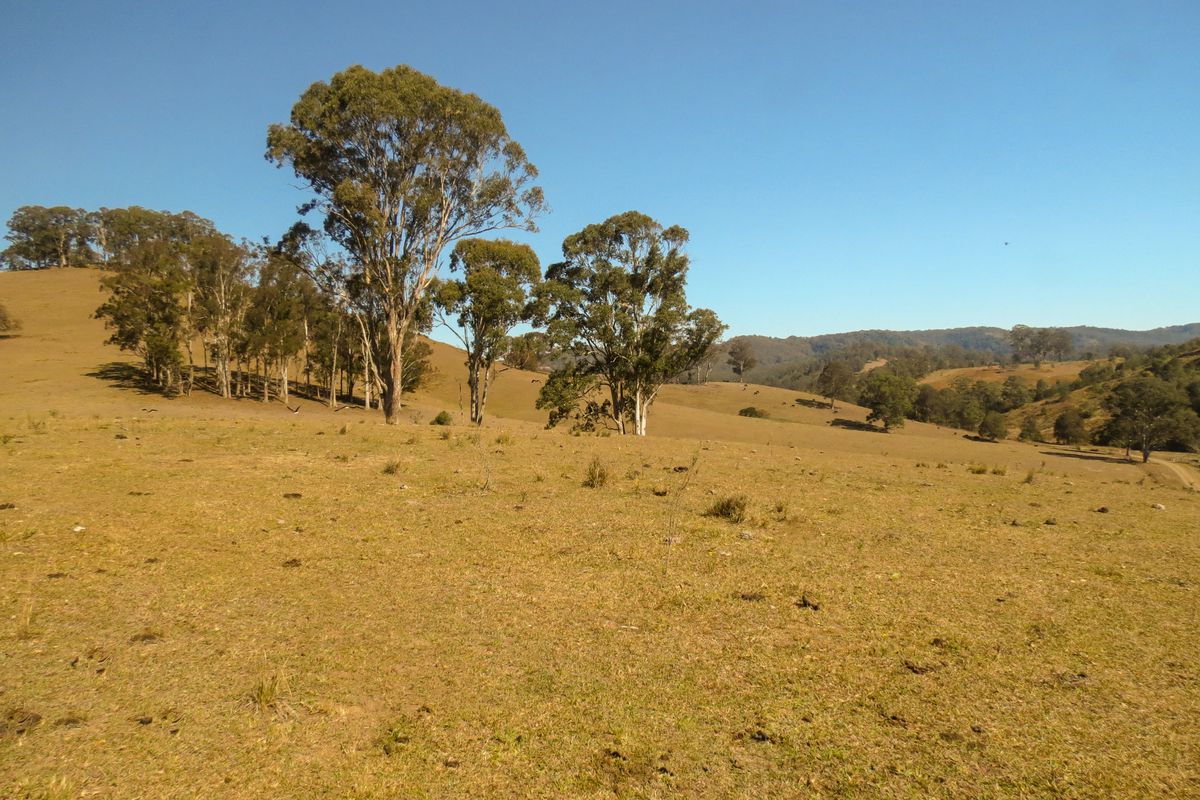 Lot 4, 75 Wards Creek Road, Nabiac