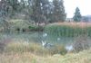 1721 The Escort Way, Orange