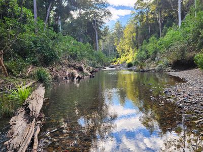 427 Shaws Road, Hollisdale