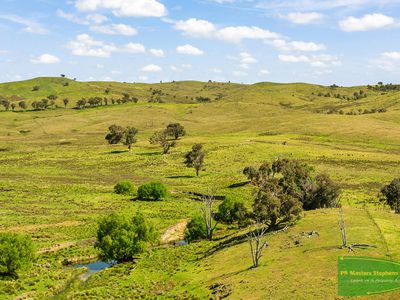 351 Shepherds Creek Road, Euchareena