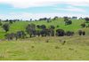 839 Gum Flat Road, Euchareena
