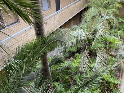 15/5 Kathleen Avenue, Maylands