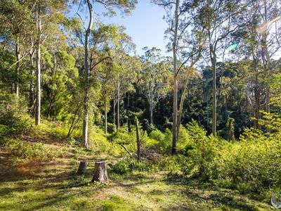 212 Ridge Road, Central Tilba