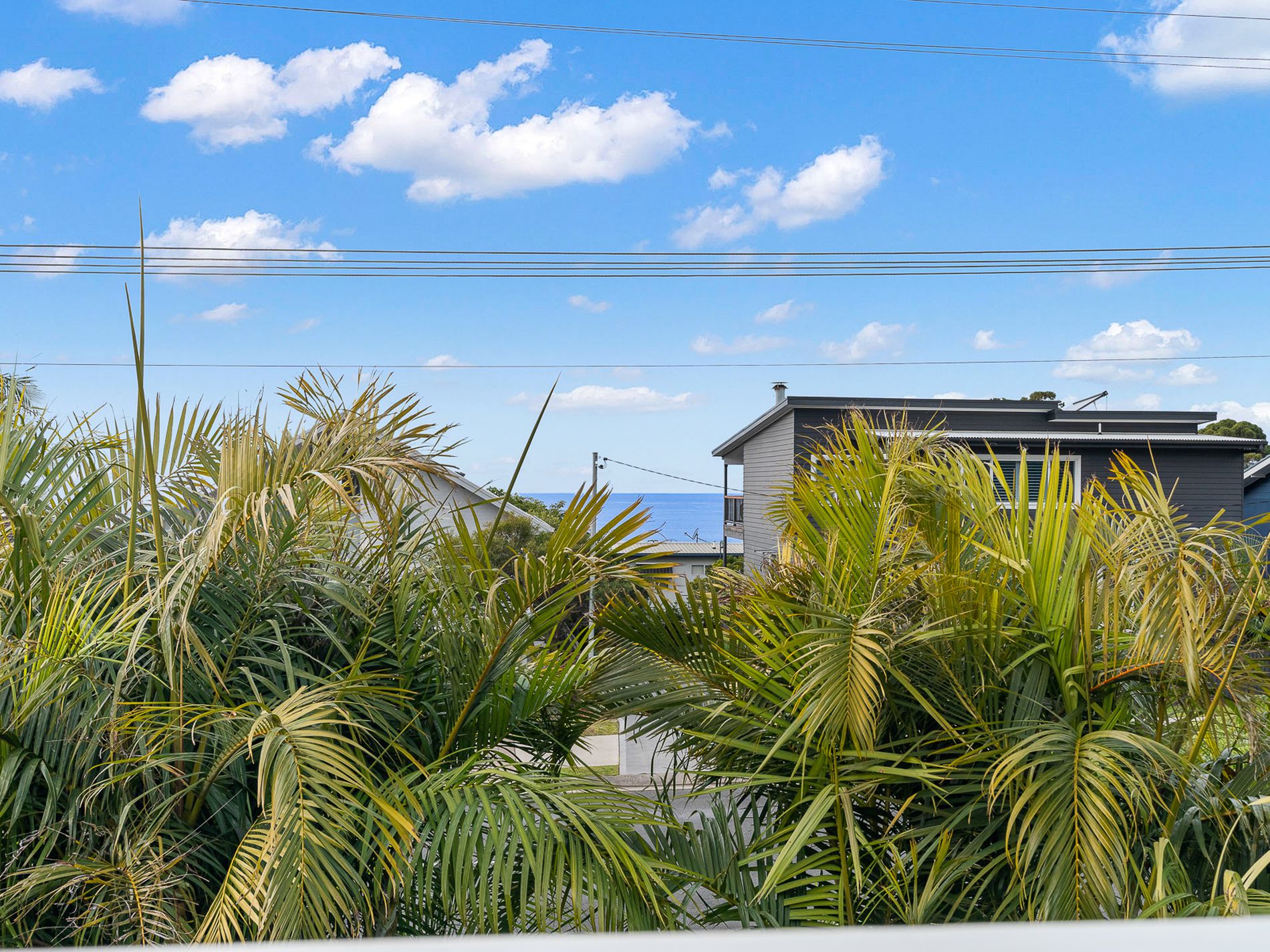 115 Matron Porter Drive, Narrawallee