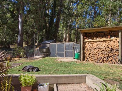 7 Warrambat Road, Sawmill Settlement