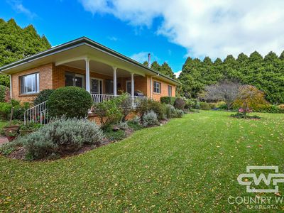 4291 Pinkett Road, Glen Innes