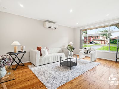 18 Kastelan Street, Blacktown