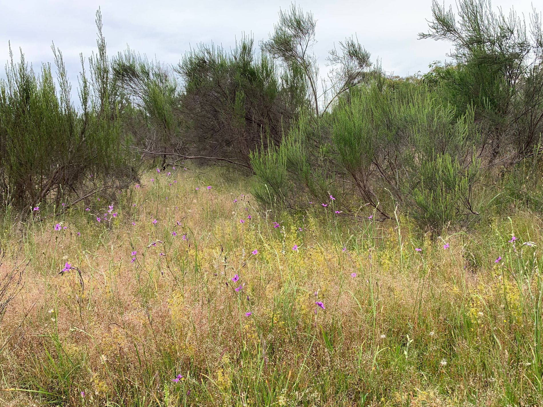 Lot 12 Heathcote-Nagambie Road, Moormbool West