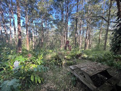 489 Davis Road, Jiggi