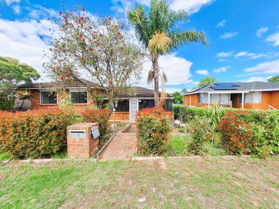 18 Randolph St, Campbelltown