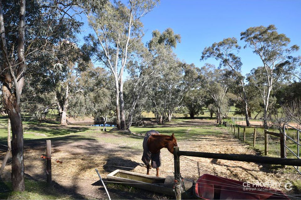 59 Murray Vale Road, Mount Crawford