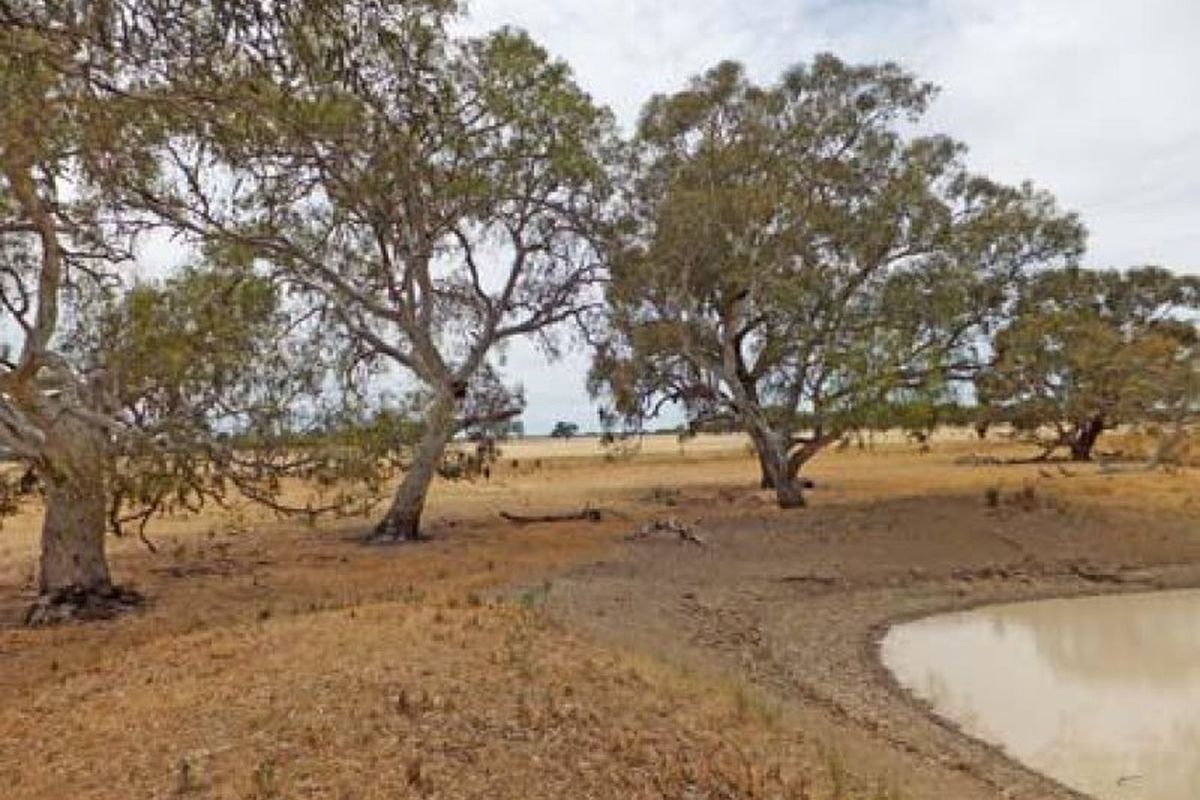 Gillies Road, Timmering