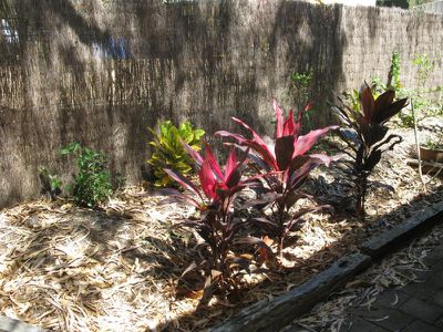 12 Seagren Street, Cooktown