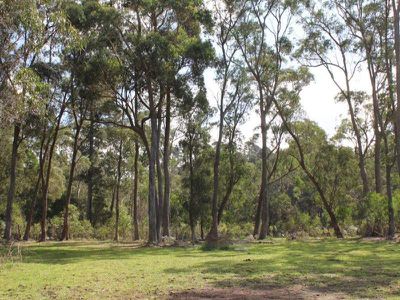 1210 Nowra Road, Fitzroy Falls