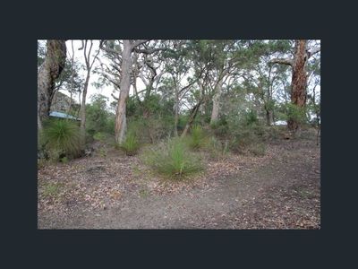 24 Flora Grove, Molloy Island