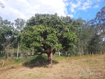 Lot 2 Tunnel Road, Boolboonda