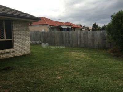 28 Daintree Street, Bellmere