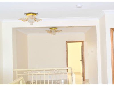 33 Daphne Street North, Bankstown