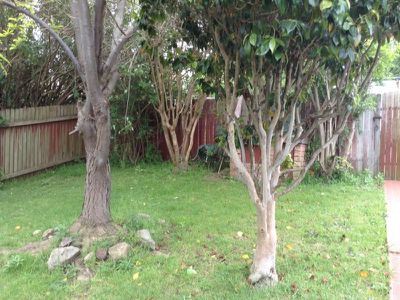 27 Donaldson Street, Port Kembla