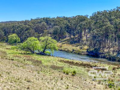 954 Bullock Mountain Road, Glen Innes