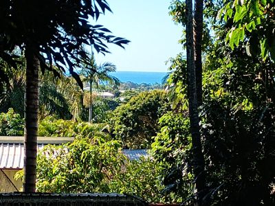 29 Crawford Drive, Dundowran