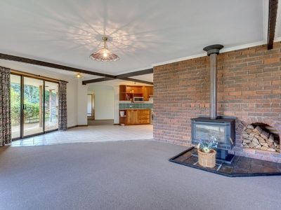 534 Mountain River Road, Mountain River