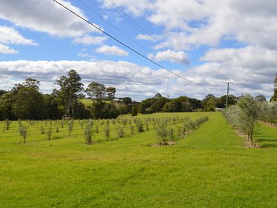 70 Macadamia Drive, Maleny