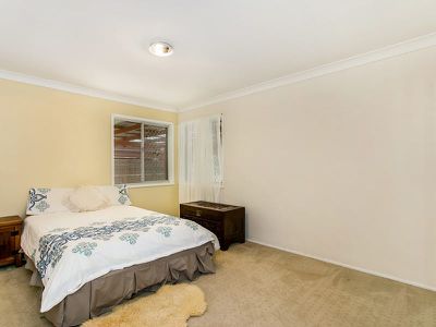 8 Hibiscus Place, Mullumbimby