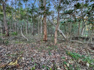 0 Benian Road, The Palms