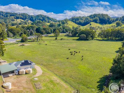 5644 Tweed Valley Way, Crabbes Creek