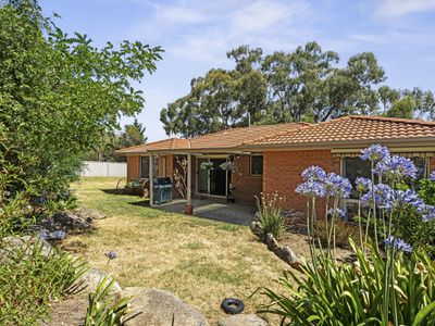 12 Coughlin Court, Seymour