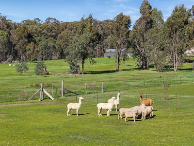 205 Hirds Road, Heathcote